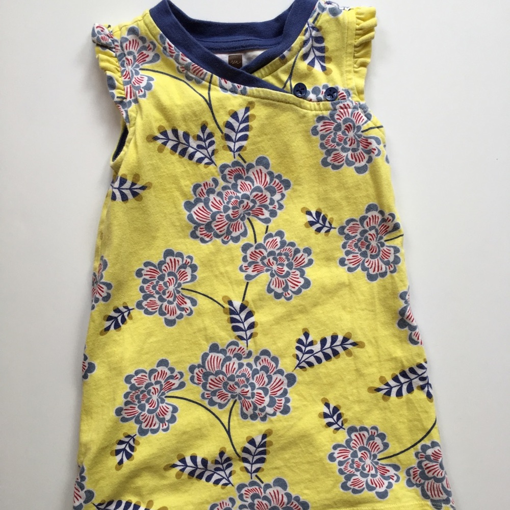 TEA COLLECTION beautiful sleeveless dress.
